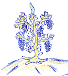 Drawing: Vine as a symbol